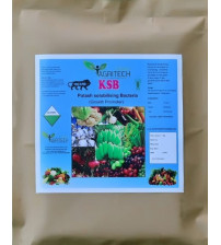 KSB - Potassium Solubilizing Bacteria 1 Kg